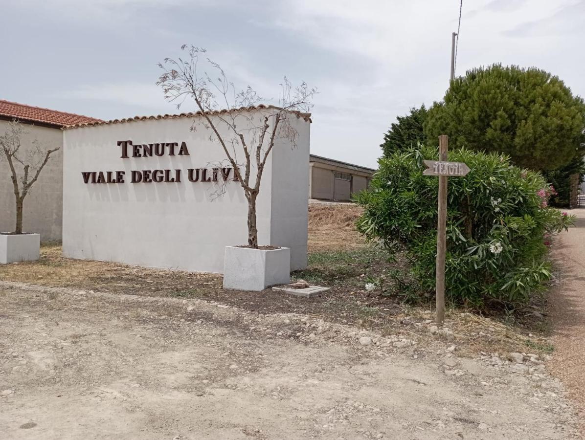 Tenuta Viale Degli Ulivi San Martino in Pensilis Exterior photo