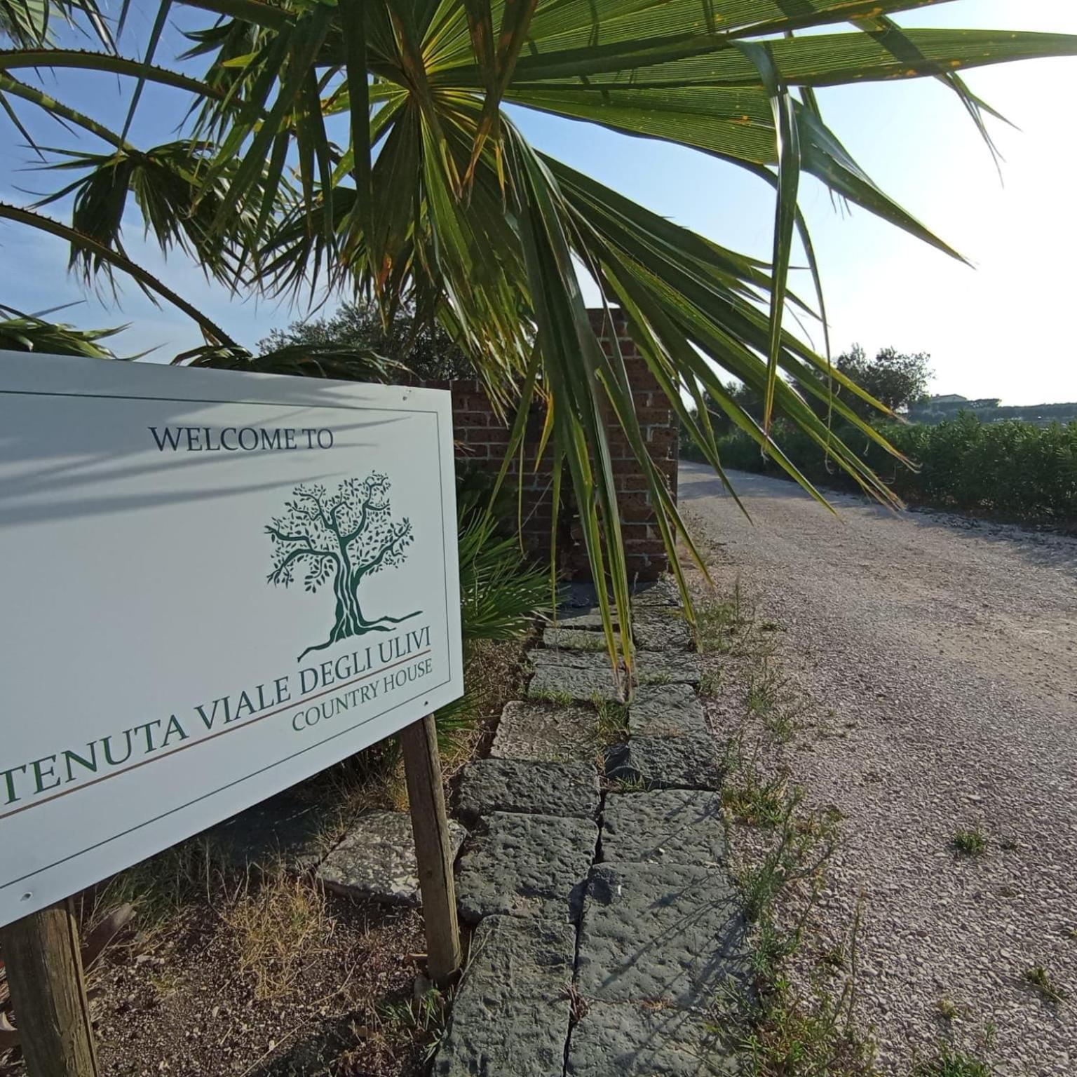 Tenuta Viale Degli Ulivi San Martino in Pensilis Exterior photo