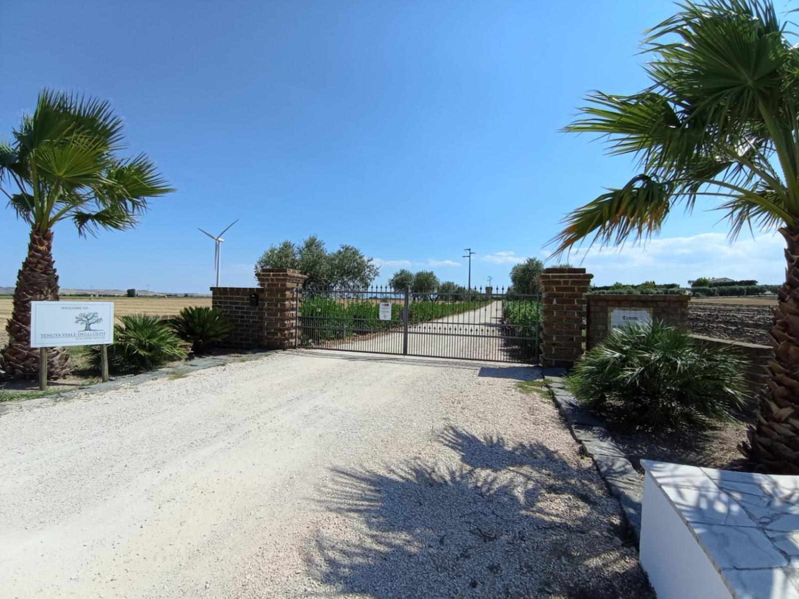 Tenuta Viale Degli Ulivi San Martino in Pensilis Exterior photo