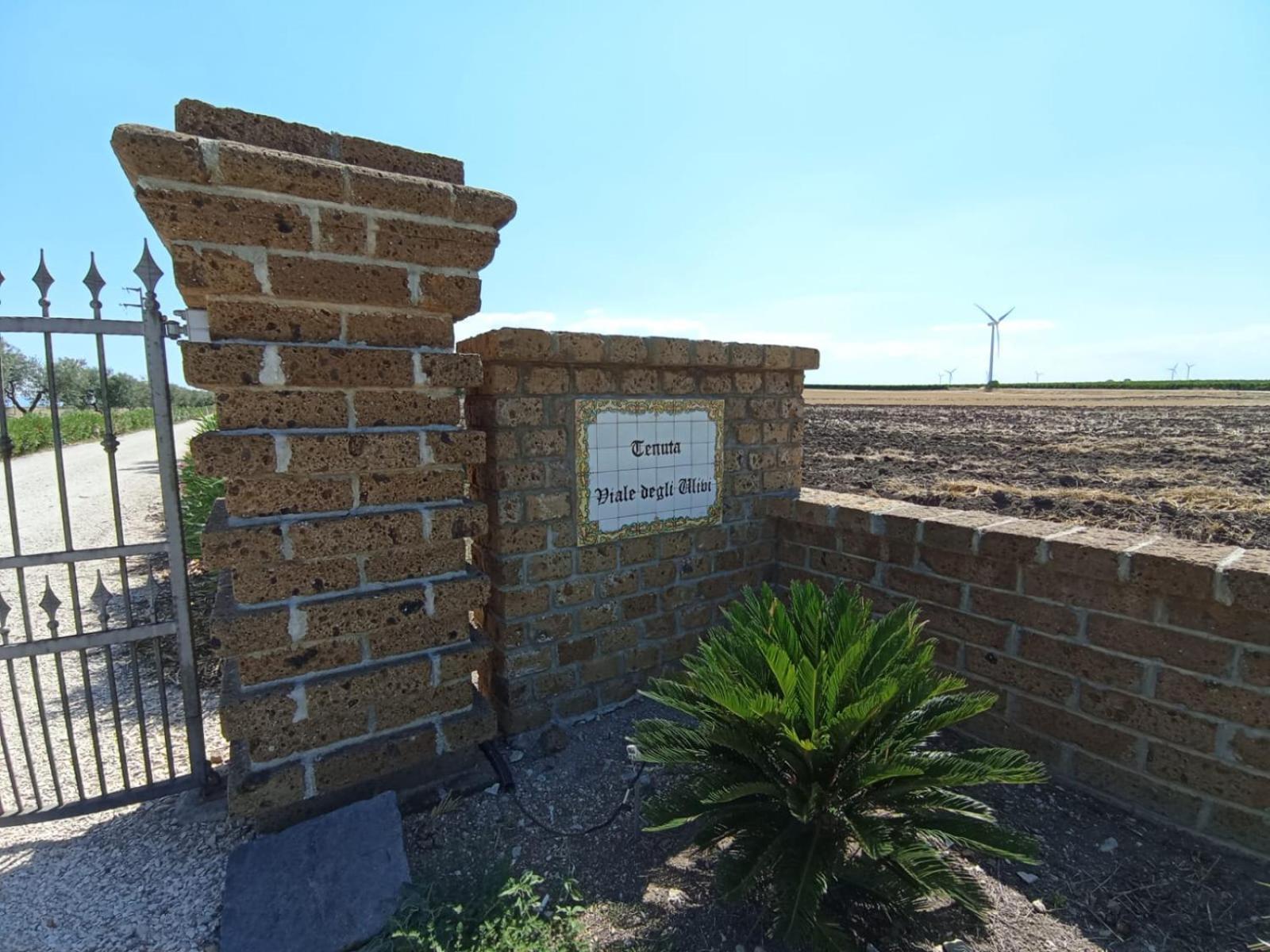 Tenuta Viale Degli Ulivi San Martino in Pensilis Exterior photo