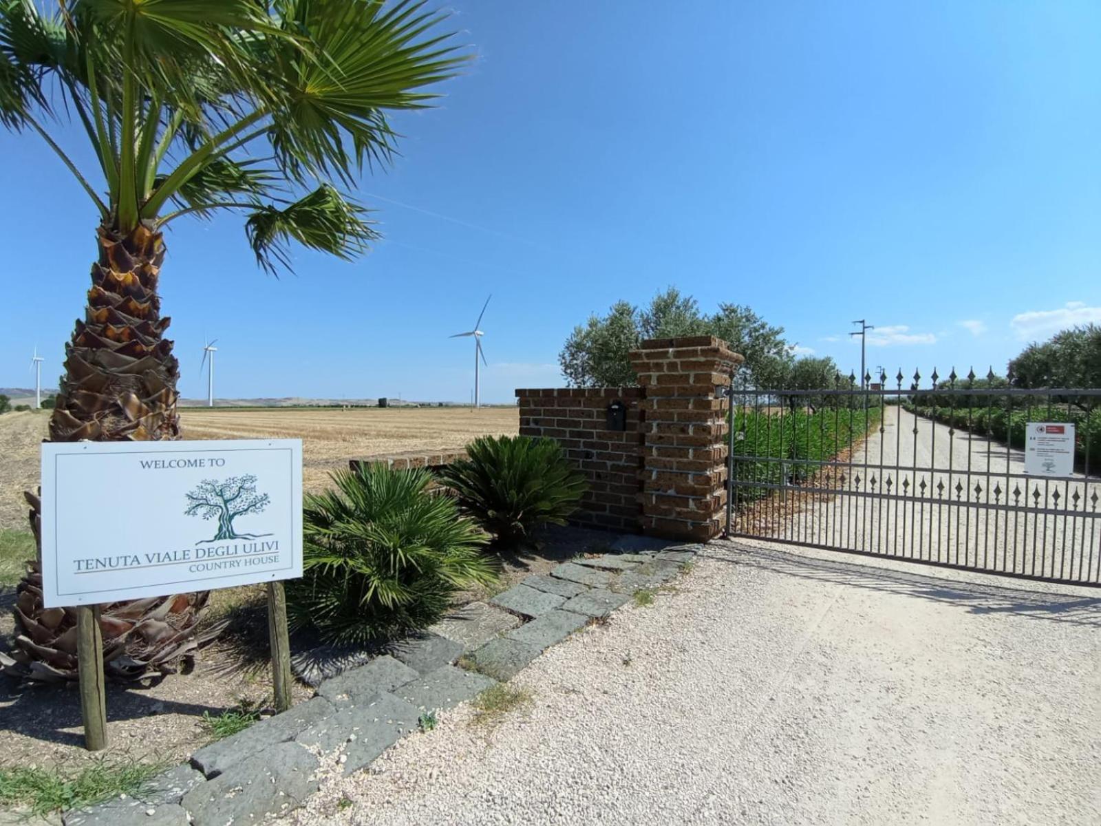 Tenuta Viale Degli Ulivi San Martino in Pensilis Exterior photo