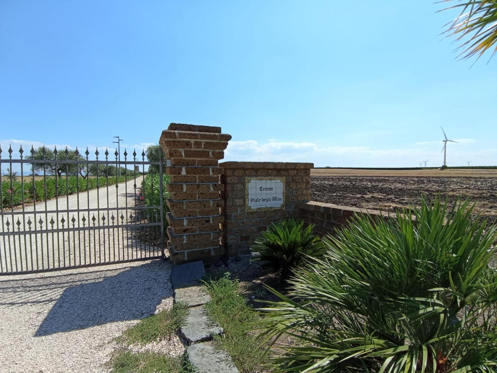 Tenuta Viale Degli Ulivi San Martino in Pensilis Exterior photo
