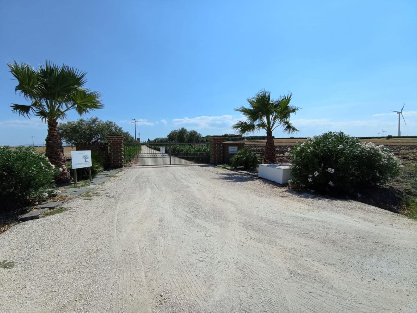 Tenuta Viale Degli Ulivi San Martino in Pensilis Exterior photo